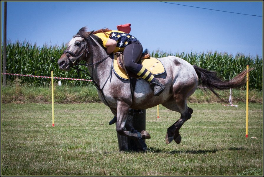 Mounted Games 164